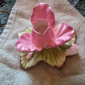 Thing of Beauty Rose 🌹